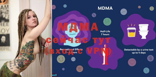 индика Беломорск