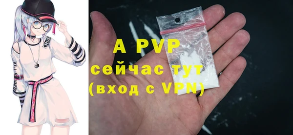индика Беломорск