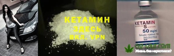 индика Беломорск