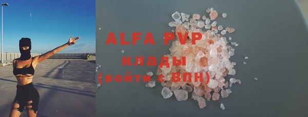 индика Беломорск