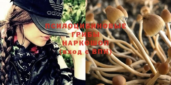 индика Беломорск