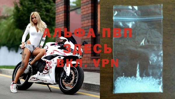 индика Беломорск