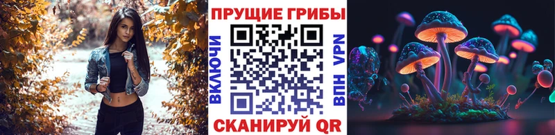 сколько стоит  Тотьма  Галлюциногенные грибы мухоморы 